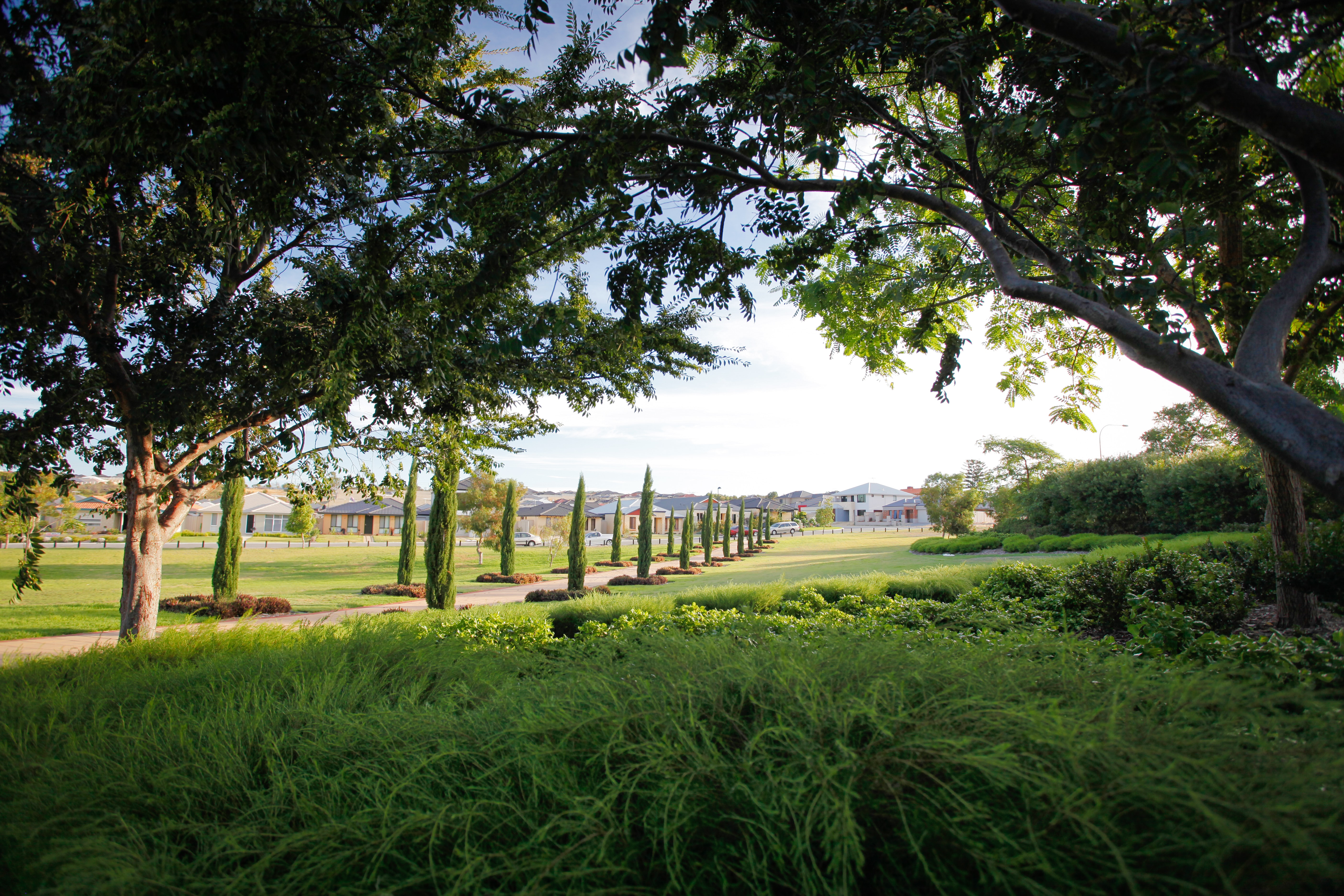 Green Suburb